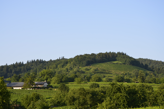 Weingut Teutsch in Hirschberg-Leutershausen | © Weingut Teutsch Hirschberg