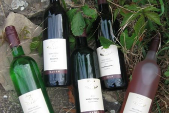 Verschiedene Weinflaschen zwischen Felsen | © Unbekannt