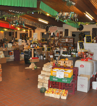 Weingut Wehweck  in Schriesheim | © Weingut Wehweck