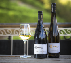 Weingläser | Weinhaus Nordheim | Nordheim | © Neckar-Zaber-Tourismus