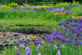 Weinheims Grüne Perlen | © Cassian Schmidt