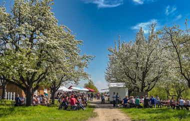Weinausschank am Mönchsbergsee bei gutem Wetter | Brackenheim | HeilbronnerLand | © Weinkultur am Mönchsbergsee