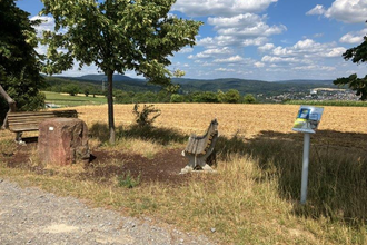 Weitersehen-Station “Grenze zwischen Odenwald und Kraichgau“ | © Landratsamt Rhein-Neckar-Kreis
