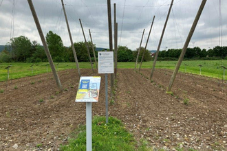 Weitersehen Schild vor einer Hopfendemonstrationsanlage | © Landratsamt Rhein-Neckar-Kreis