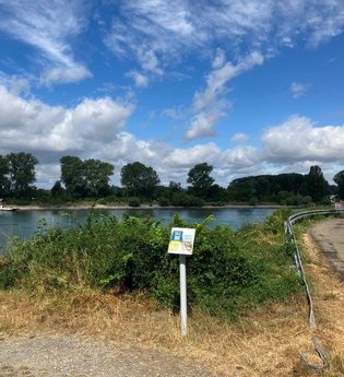 Schild der Weitersehen-Station in Brühl vor dem Rhein | © Landratsamt Rhein-Neckar-Kreis