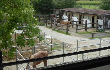 Wersauer Hof | © Beate Otto