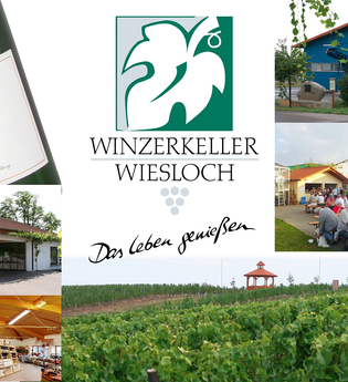 Winzer von Baden eG Wiesloch | © Winzerkeller und Weinpavillon Wiesloch