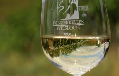 Winzer von Baden eG Wiesloch | © Beate Otto