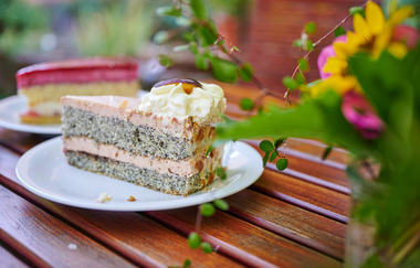 Stück Kuchen auf Gartentisch | Winzercafé Neipperg | Brackenheim | Kuchen | © Neckar-Zaber-Tourismus e.V.