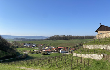 Besenwirtschaft Weingut Echle | Brackenheim-Neipperg | Blick von Burg Neipperg | © Neckar-Zaber-Tourismus e.V.