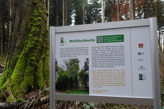 AliSa Erlebnisweg Wolfslochrunde | © Gemeinde Helmstadt-Bargen