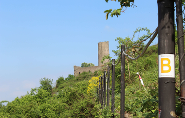 Von den Weinbergen hat man einen schönen Blick auf die Strahlenburg. | © Brigitte Zimmermann-Petrullat