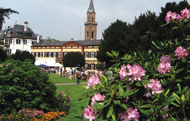 Blühende Rhododenrenbüsche im Schlosspak vor dem Weinheimer Schloss. | © Maria Zimmermann