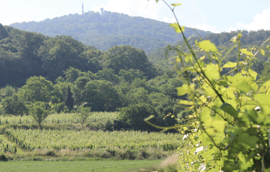 Ein großer Berg ist Hintergrund vom Weg aus zu sehen. | © Brigitte ZimmermannPetrullat