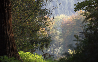 Bergsträßer Burgensteig - Etappe 5: von Hemsbach nach Weinheim | © Sven Sasse Roesch