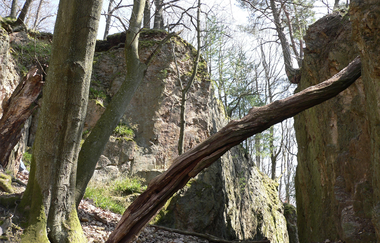 Bergsträßer Burgensteig - Etappe 8: von Schriesheim nach Dossenheim | © Roland Robra