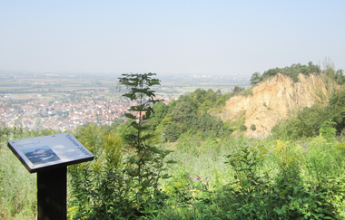 Bergsträßer Burgensteig - Etappe 9: von Dossenheim nach Heidelberg | © TSB