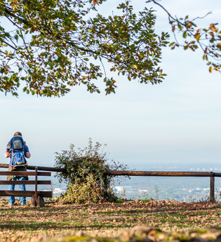 Bergsträßer Burgensteig