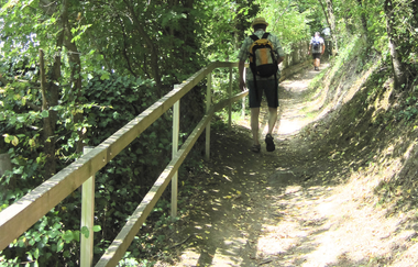 Bergsträßer Burgensteig