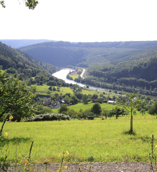 Bocksberg-Rundweg | © Stadt Eberbach