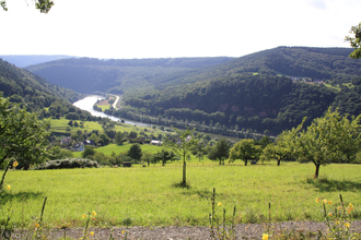 Bocksberg-Rundweg | © Stadt Eberbach