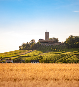 Burg Steinsberg Tour | © Stadt Sinsheim