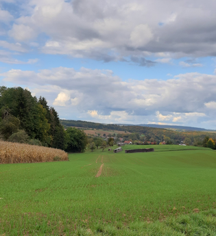 BurgenREICH Kraichgau Radrunde rund um Neckarbischofsheim | © Landratsamt Rhein-Neckar-Kreis