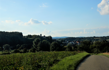 BurgenREICH Kraichgau Radrunde rund um Neckarbischofsheim | © Landratsamt Rhein-Neckar-Kreis