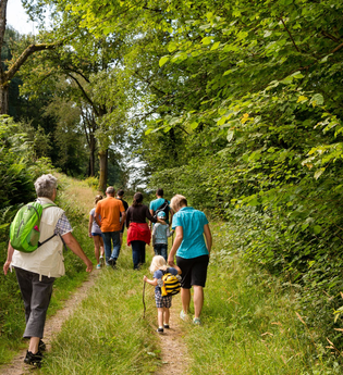 Durchs Höllbachtal | © Stadt Eberbach / Andreas Held