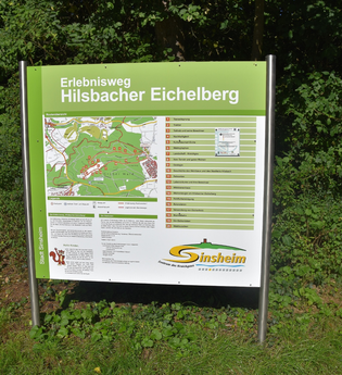Übersichtskarte zum Erlebnisweg Hilsbacher Eichelberg | © Stadt Sinsheim