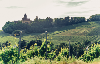 Aussicht vom Schöllkopf auf Schloss Stocksberg | © Touristikgemeinschaft HeilbronnerLand e.V.