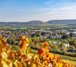 Blick auf Güglingen | HeilbronnerLand | © faktorzwei GmbH Thorsten Faust