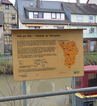 Hochwasserpfad Neckargemünd | © Landratsamt Rhein-Neckar-Kreis