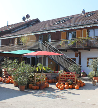 Hockenheim: Hockenheimer RadRing | © Johanneshof