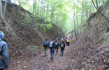 Hohlweg "Weiße Hohl" Nußloch | © Landratsamt Rhein-Neckar-Kreis
