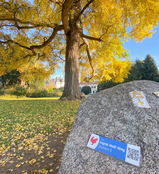 Ingrid-Noll-Weg in Weinheim