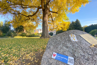 Ingrid-Noll-Weg in Weinheim