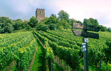 Kraichgau-Stromberg: Besen-Tour | © Land der 1000 Hügel - Kraichgau-Stromberg