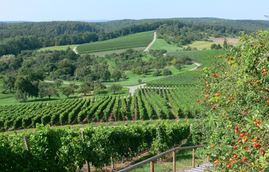 Kraichradweg | © Land der 1000 Hügel - Kraichgau-Stromberg