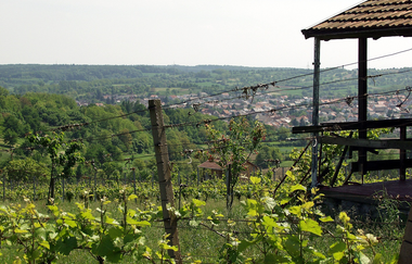 Kraichradweg | © Stadtmarketing Kraichtal