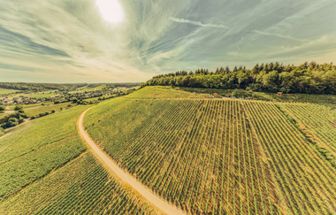 Zweifelberg aus der Vogelperspektive | © Touristikgemeinschaft HeilbronnerLand e.V.