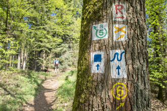 Wanderung auf dem Neckarsteig / Odenwald | © Touristikgemeinschaft Odenwald e.V.