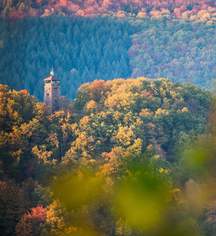 Ohrsberg-Rundweg | © Stadt Eberbach / Andreas Held