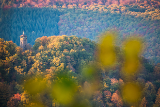 Ohrsbergrundweg | © Stadt Eberbach / Andreas Held