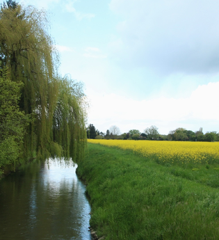 Rundtour Walldorf | © Landratsamt Rhein-Neckar-Kreis