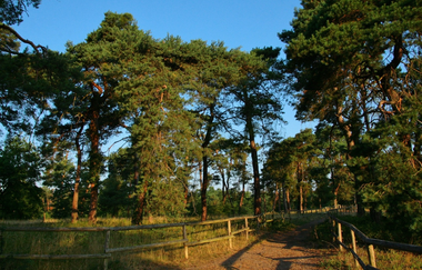 Rundtour Walldorf | © Landratsamt Rhein-Neckar-Kreis
