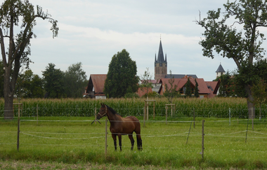 Rundtour Walldorf | © Landratsamt Rhein-Neckar-Kreis