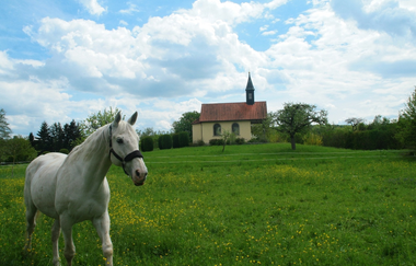 Rundtour Wiesloch | © Landratsamt Rhein-Neckar-Kreis
