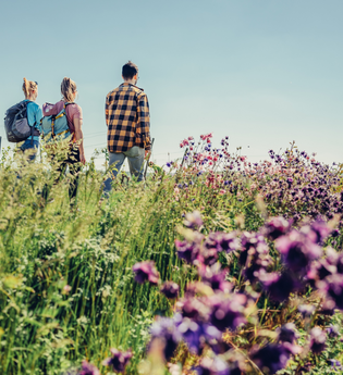 Wandern in den Weinbergen bei Lauffen | Lauffen am Neckar | © Touristikgemeinschaft HeilbronnerLand e.V.