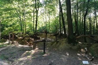 Sinnenpfad Neckargemünd | © Tourist-Informatin Neckargemünd